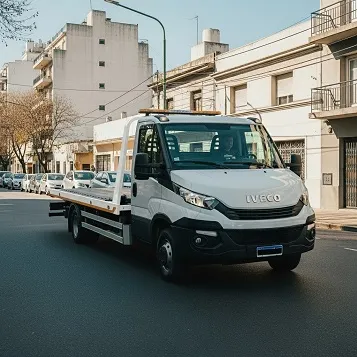 Flota de dos grúas de plancha de Grúas CABA